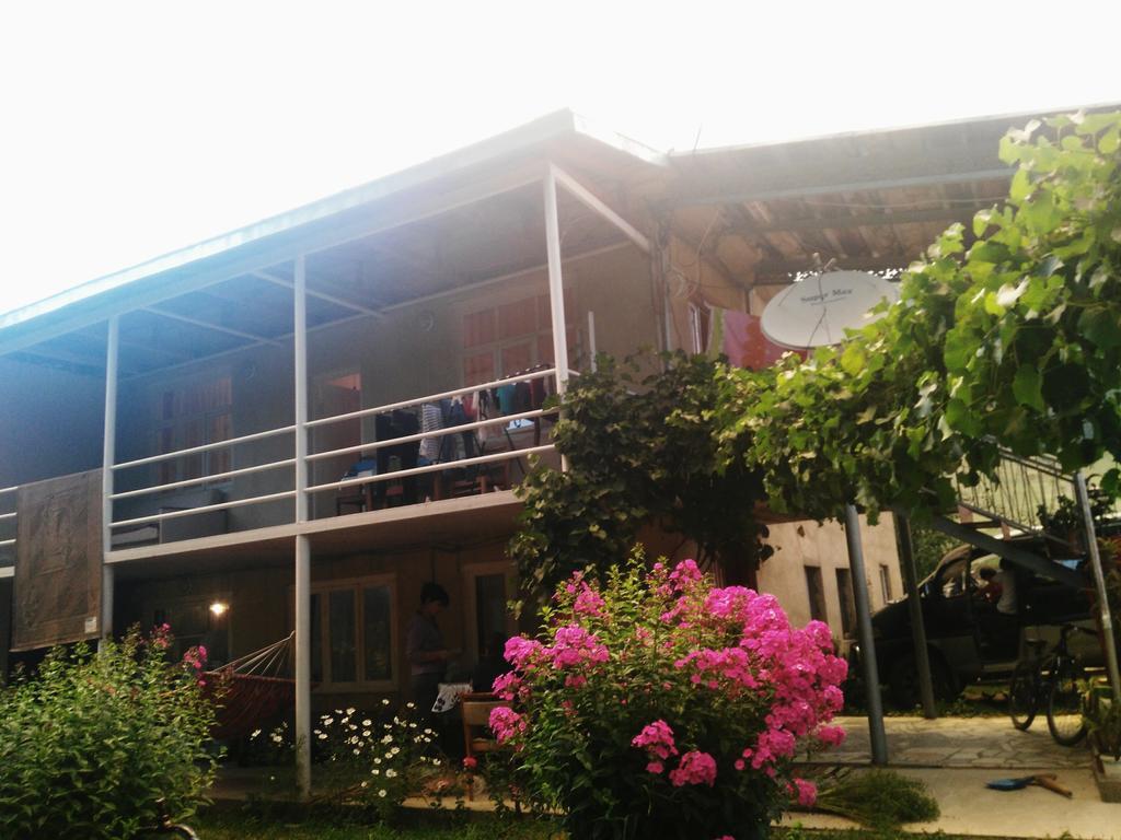 Guesthouse Am Museum ميستيا المظهر الخارجي الصورة